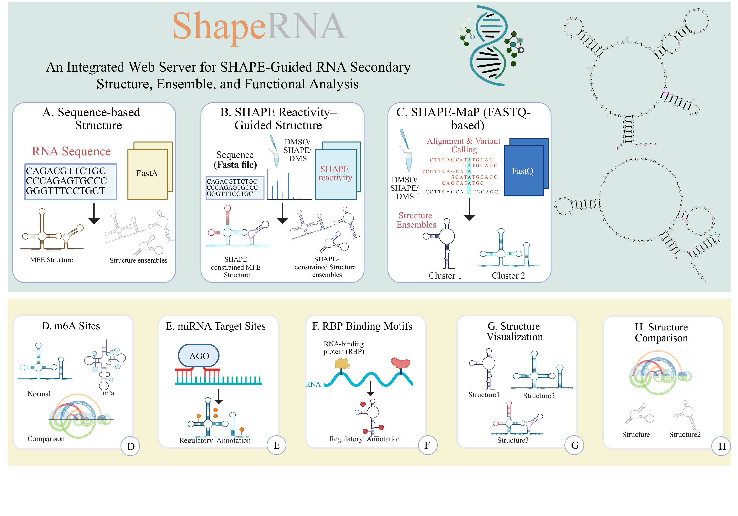 Project Structure Overview