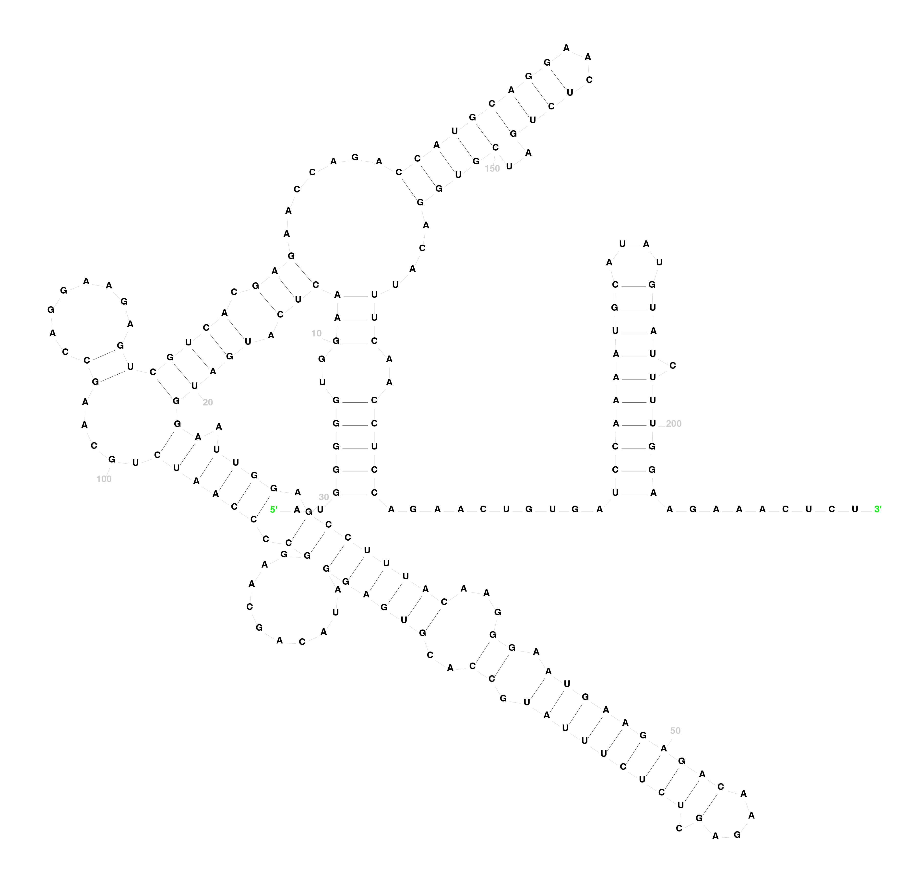 Sample RNA Structure 2