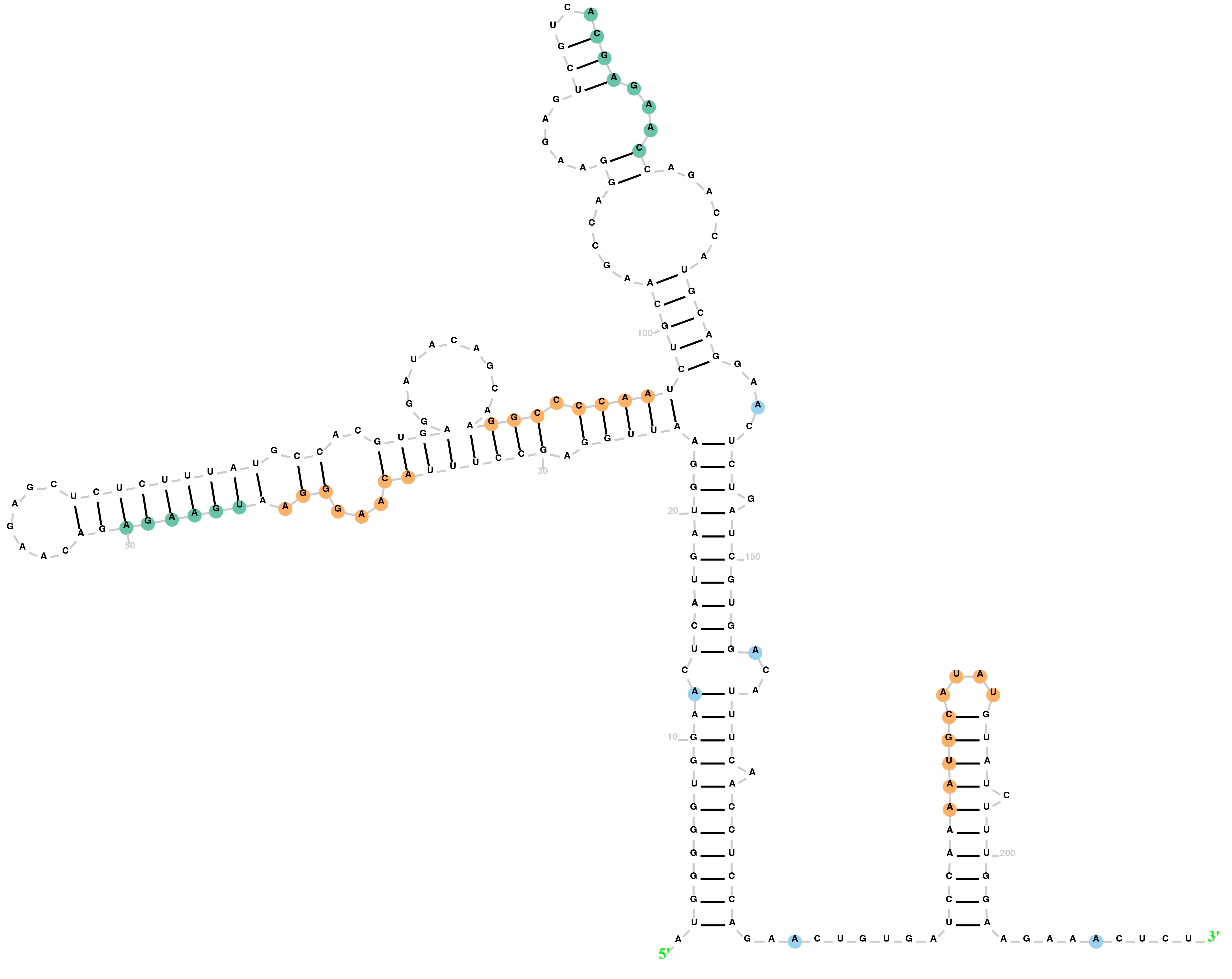 Sample RNA Structure 1